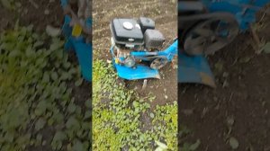 культиваторы Нева mk80 обзор для тех кто собирается купить культиватор