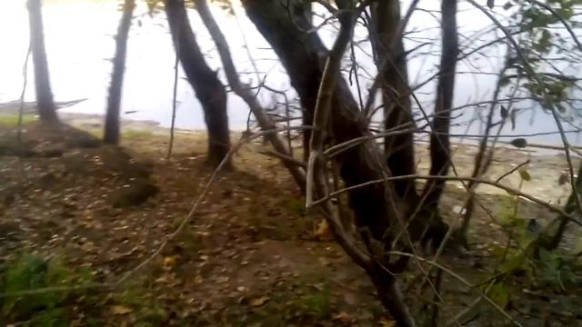 Нашли большую ракушку смотреть онлайн