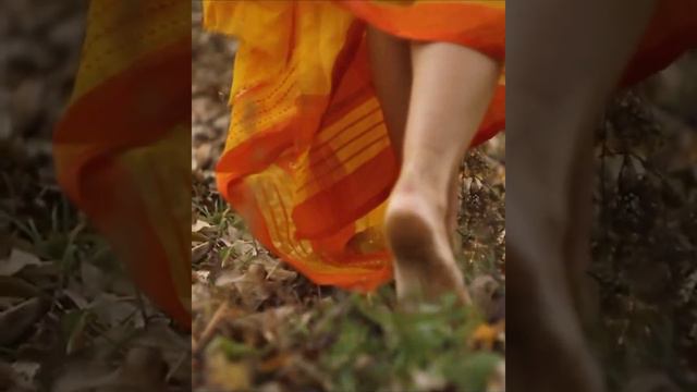 Сила Духа // ЦИКЛ «СОНЕТЫ МЕТОМОРФОЗ» смотреть онлайн