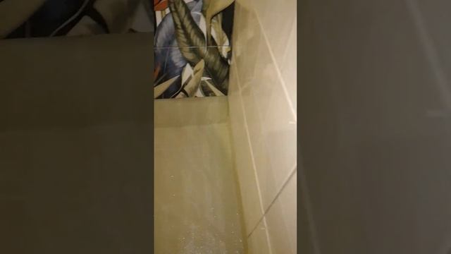 Осталось начать и закончить Душевая в процессе. #топ #ремонт #new смотреть онлайн