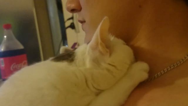 Котяка-вампиряка смотреть онлайн