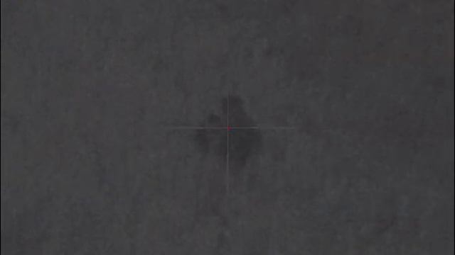 Pulsar Digisight Ultra N355. Медведь на овсах. 059 плотный туман, пол луны смотреть онлайн