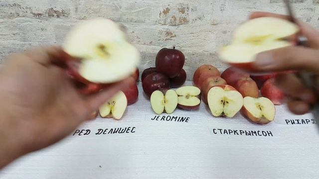 Обзор сортов JEROMINE / RED CHIEF / RED DELISHES