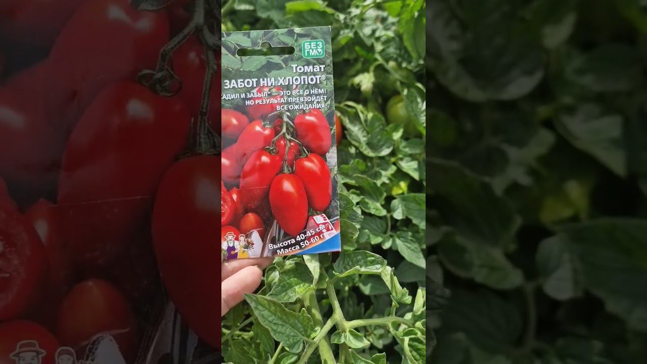 ни забот ни хлопот смотреть онлайн