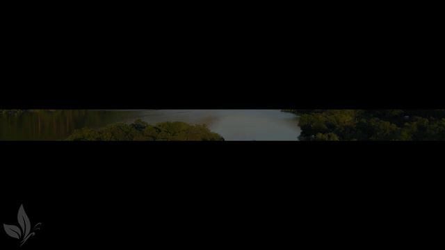 послушайте эту музыку и вам станет легче🌿Нежная музыка,успокаивает нервную систему и радует душу #6 смотреть онлайн