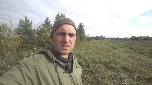 2022 Сентябрь. Копалка копает, урожай собирается, а я собираю грибы. смотреть онлайн