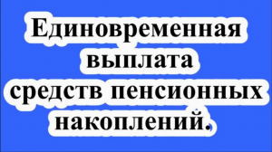 Кто имеет право на получение единовременной выплаты средств пенсионных накоплений (СПН)?