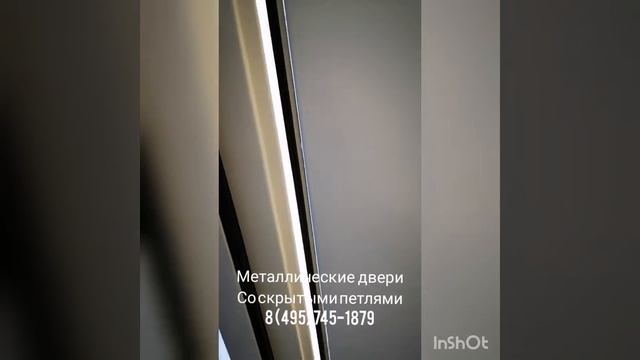 Металлические двери со скрытыми петлями