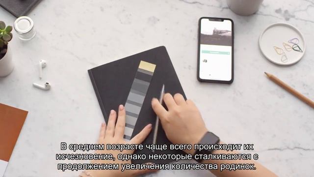 Ученые впервые признали родинки признаком долголетия смотреть онлайн