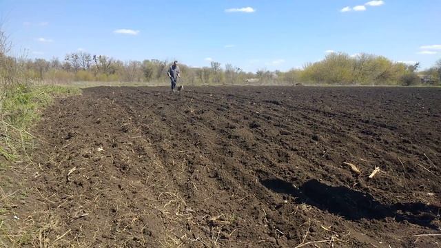 Посадка кукурузы ручной сеялкой !!! смотреть онлайн