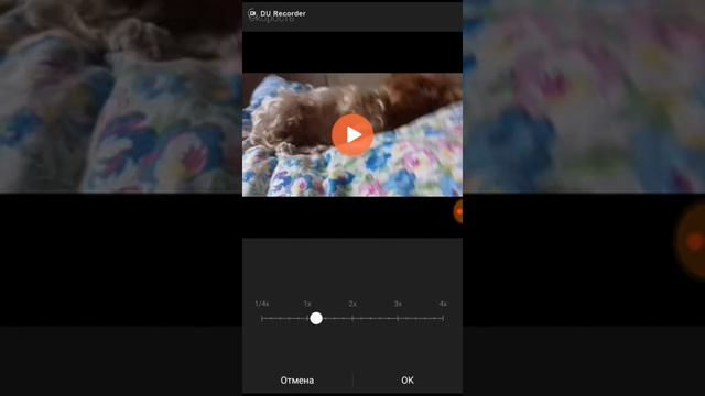 Видео урок от меня /как сделать писклявый голос в приложении VivaVideo