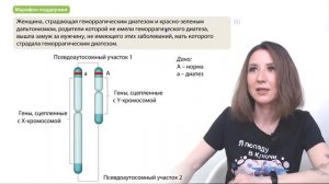 Все задачи по генетике | Задание №29 | ЕГЭ-2024 по биологии
