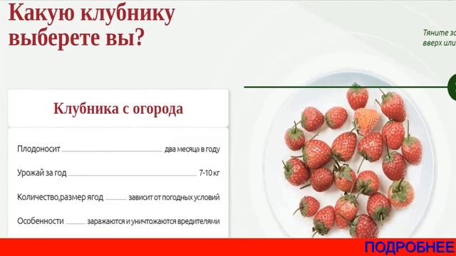 Клубника Сказочный Сбор смотреть онлайн