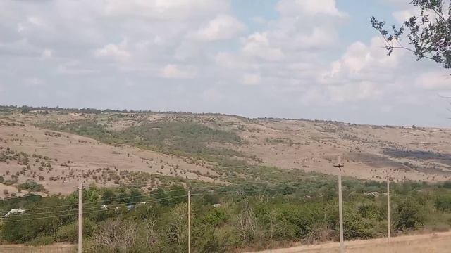 1 августа 2024 г. (1).mp4 смотреть онлайн