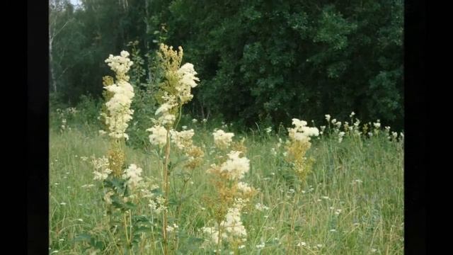 Родные места ( Назарово, Красноярский край)