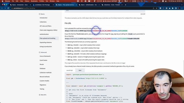 PocketBase : un backend mobile qui tient en un seul fichier ! (SDK Flutter & Javascript + API Rest) смотреть онлайн