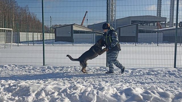 уход от наведения 2 смотреть онлайн