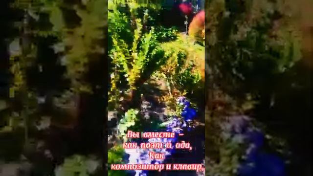 Пожелания смотреть онлайн