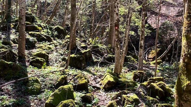 Vodopad Skakavac | Skriveni dragulj prirode Bosne i Hercegovine смотреть онлайн