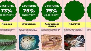 Сравнение: САМЫЕ ЯДОВИТЫЕ ЖИВОТНЫЕ в мире