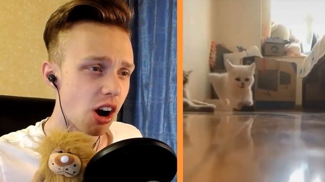 СМОТРИ Это САМЫЕ МИЛЫЕ ЖИВОТНЫЕ на ПЛАНЕТЕ! / РЕАКЦИЯ на САМОЕ МИЛОЕ ВИДЕО с ЖИВОТНЫМИ смотреть онлайн