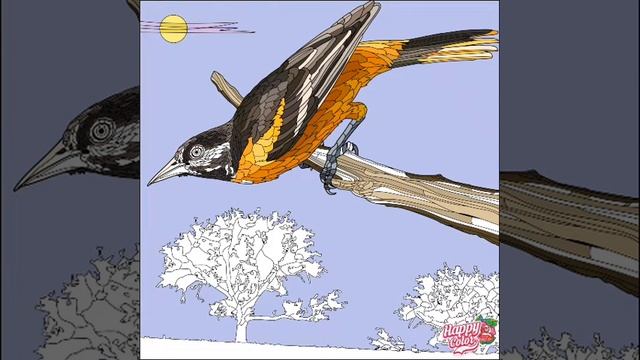 Скворец на ветке смотреть онлайн