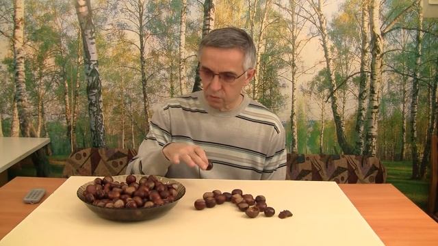 Как вырастить каштан. смотреть онлайн