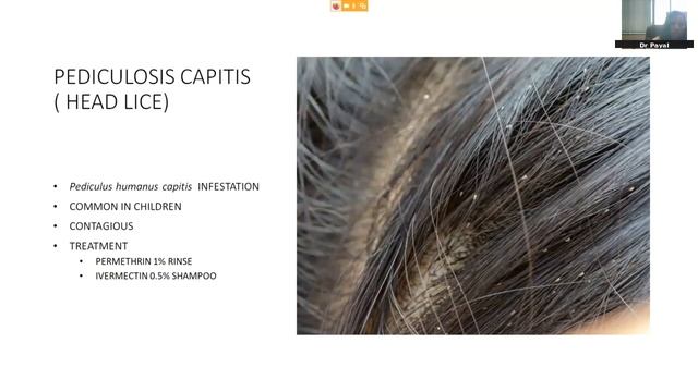 CME: Common Skin conditions смотреть онлайн