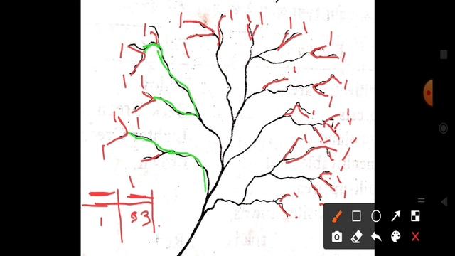 Ordering of Streaming II #UGCNET#geography#pgsem1#vbu#cartography II #Dinanath смотреть онлайн