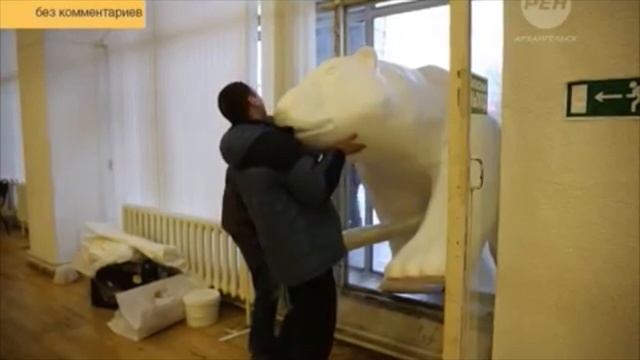 В центре Архангельска был замечен белый медведь смотреть онлайн