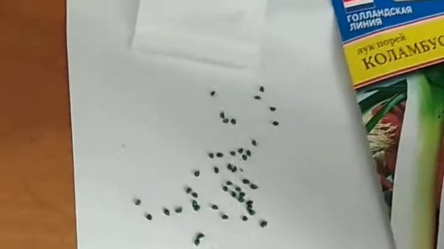 полный развод от фирмы Престиж смотреть онлайн