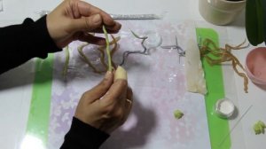 3 часть Орхидеи из холодного фарфора от Чулпан Хисмеевой