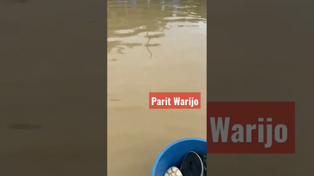 Masjid Jamek Parit Warijo banjir 3/3/23 смотреть онлайн