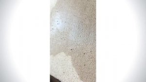 Пенобетон (пеноблок) или газобетон (газоблок) - что лучше? Испытание водой!