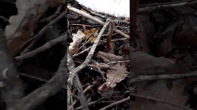 Мастерская уборочного творчества