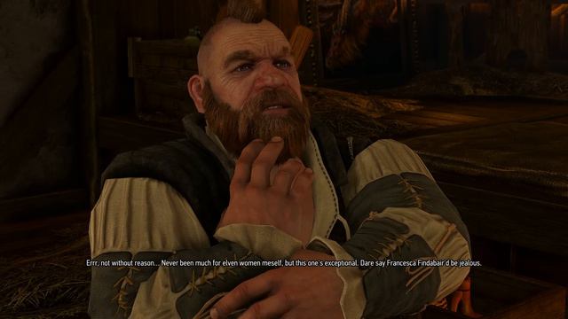 Witcher 3 - Zoltan смотреть онлайн