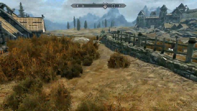 Playing Skyrim :3 смотреть онлайн
