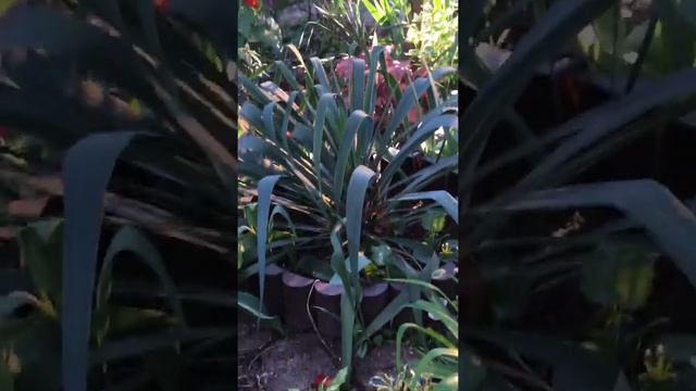 27 октября 2020 г. смотреть онлайн