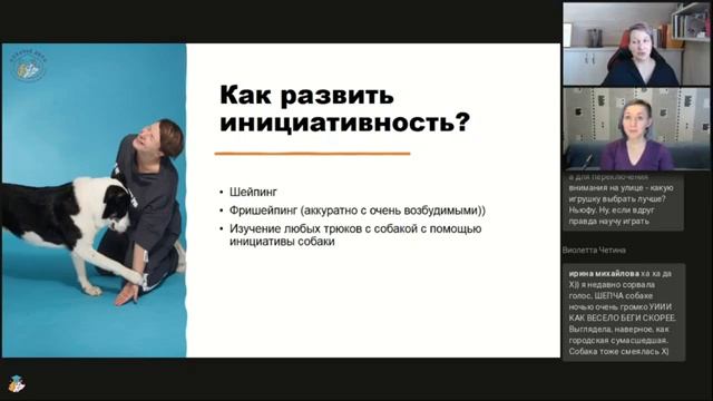Ввводный вебинар "Неудобные собаки" Часть 2 смотреть онлайн