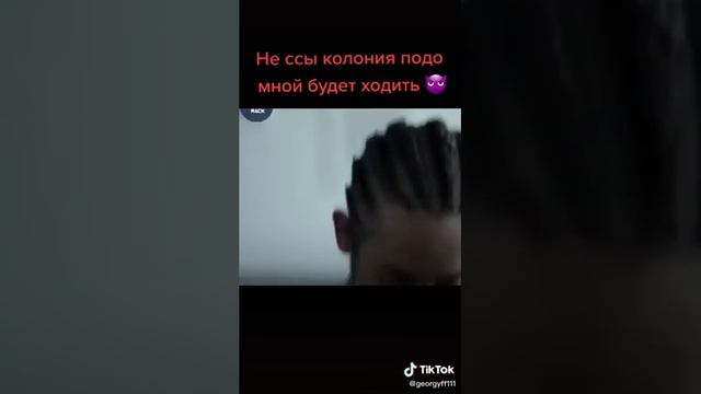 не ссы колония подо мной будет ходить