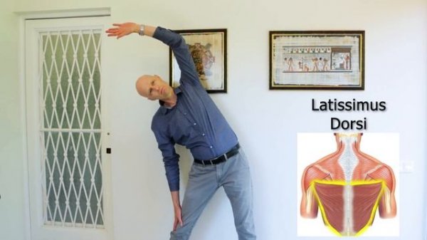 THE Best Exercises For Scoliosis