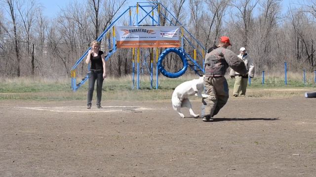 Соревнования 