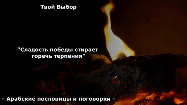 Удивительно Мудрые Арабские пословицы и поговорки, Которые Меняют Жизнь. Арабская мудрость смотреть онлайн
