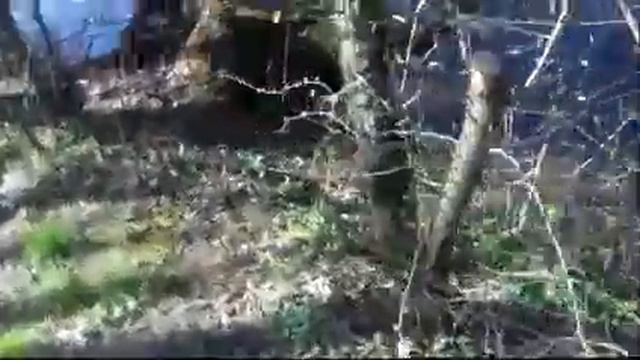 Последствия большого мороза на Украине в Закарпатской области | Первая рыбалка в 2017 году! смотреть онлайн