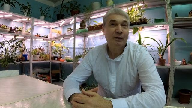 Обзор органических удобрений. Навоз, Жижа, Сидераты, Торф, пожнивные остатки. смотреть онлайн