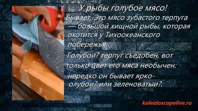 У рыбы голубое мясо! смотреть онлайн