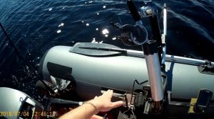 Два спиннинга на даунриггере