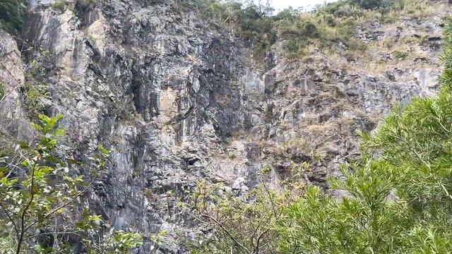 Подьем на самую высокую гору в городе Шеньчжень. #Китай #shenzhen  #Wutong #путешествия