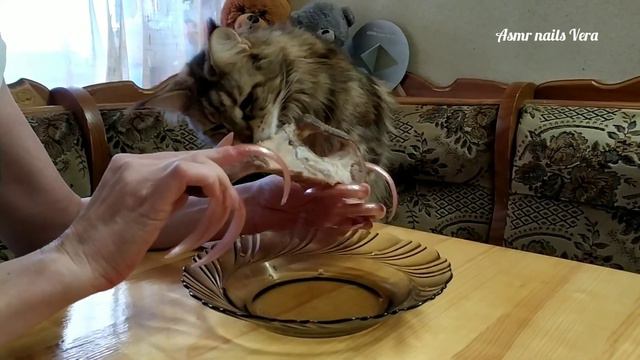 Hungry Cat Maine Coon and large bone - Funny Cat смотреть онлайн