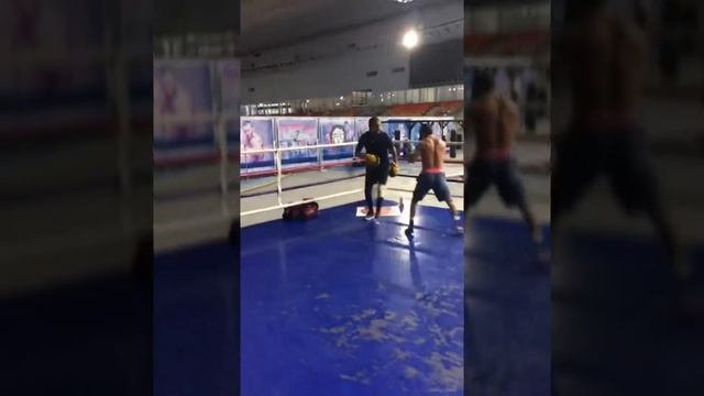 Artur Grigoryan(Тренировка) смотреть онлайн